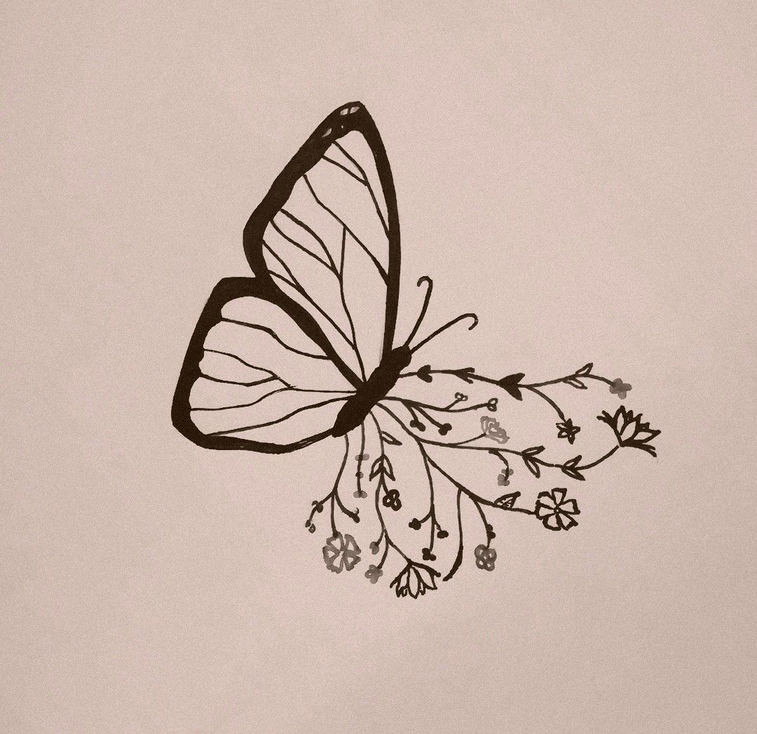 Butterfly Aesthetic Drawing Beautiful Image