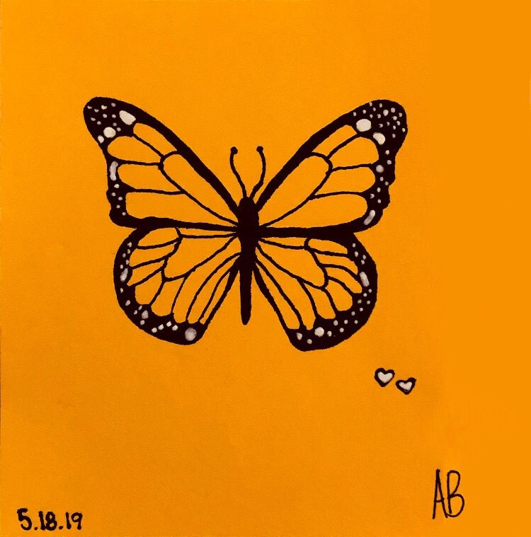Butterfly Aesthetic Drawing Image