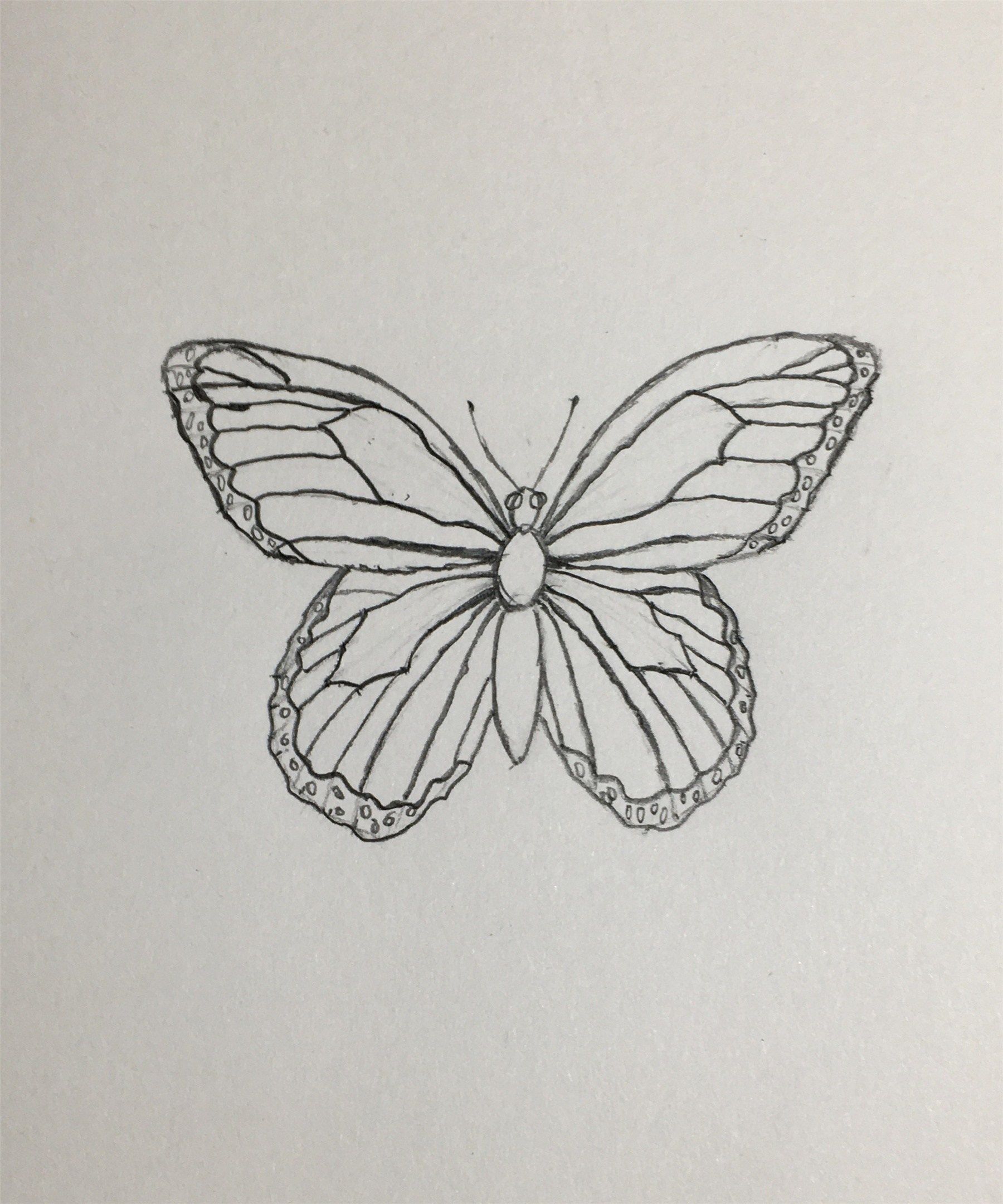 Butterfly Aesthetic Drawing Pic