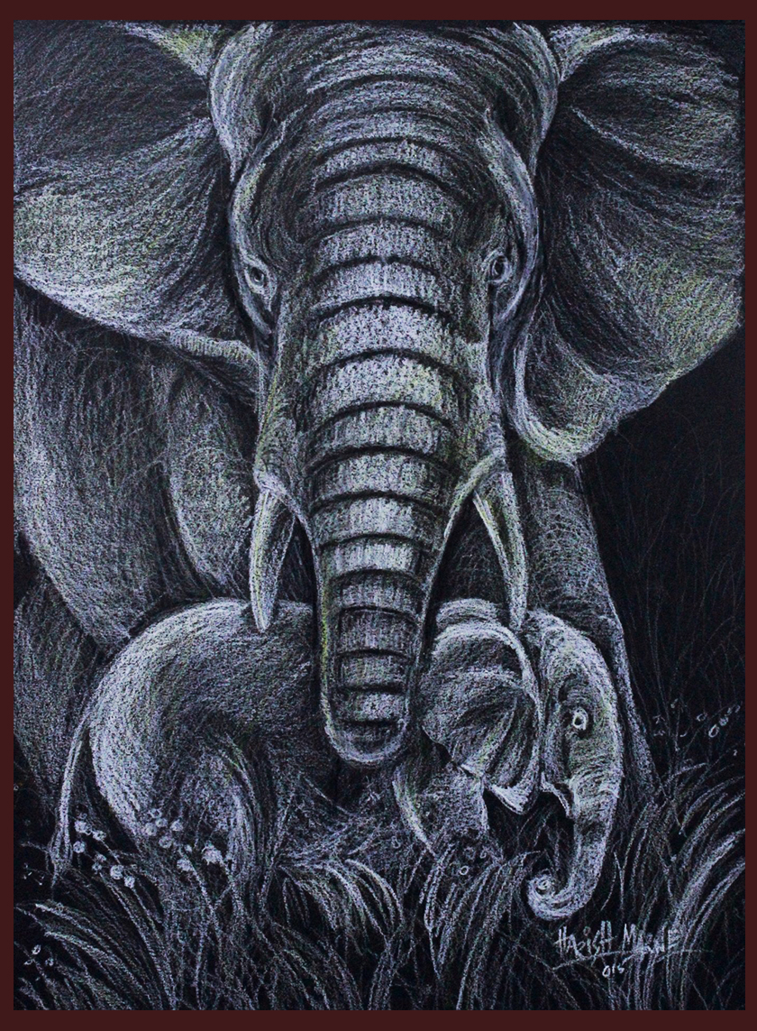 Elephant Family Drawing