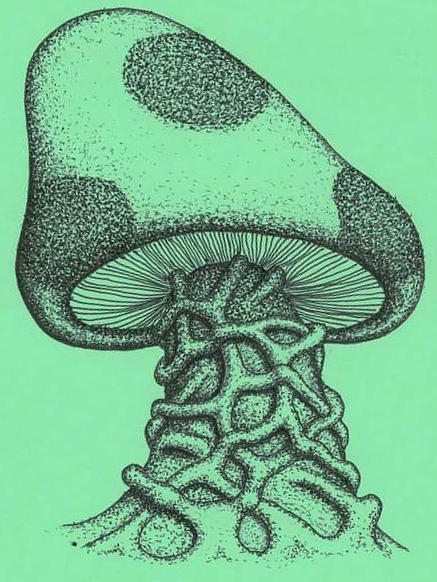 Mushroom Aesthetic Art Drawing
