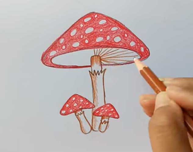 Mushroom Aesthetic Best Drawing