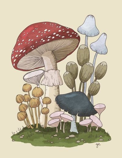 Mushroom Aesthetic Drawing Creative Art