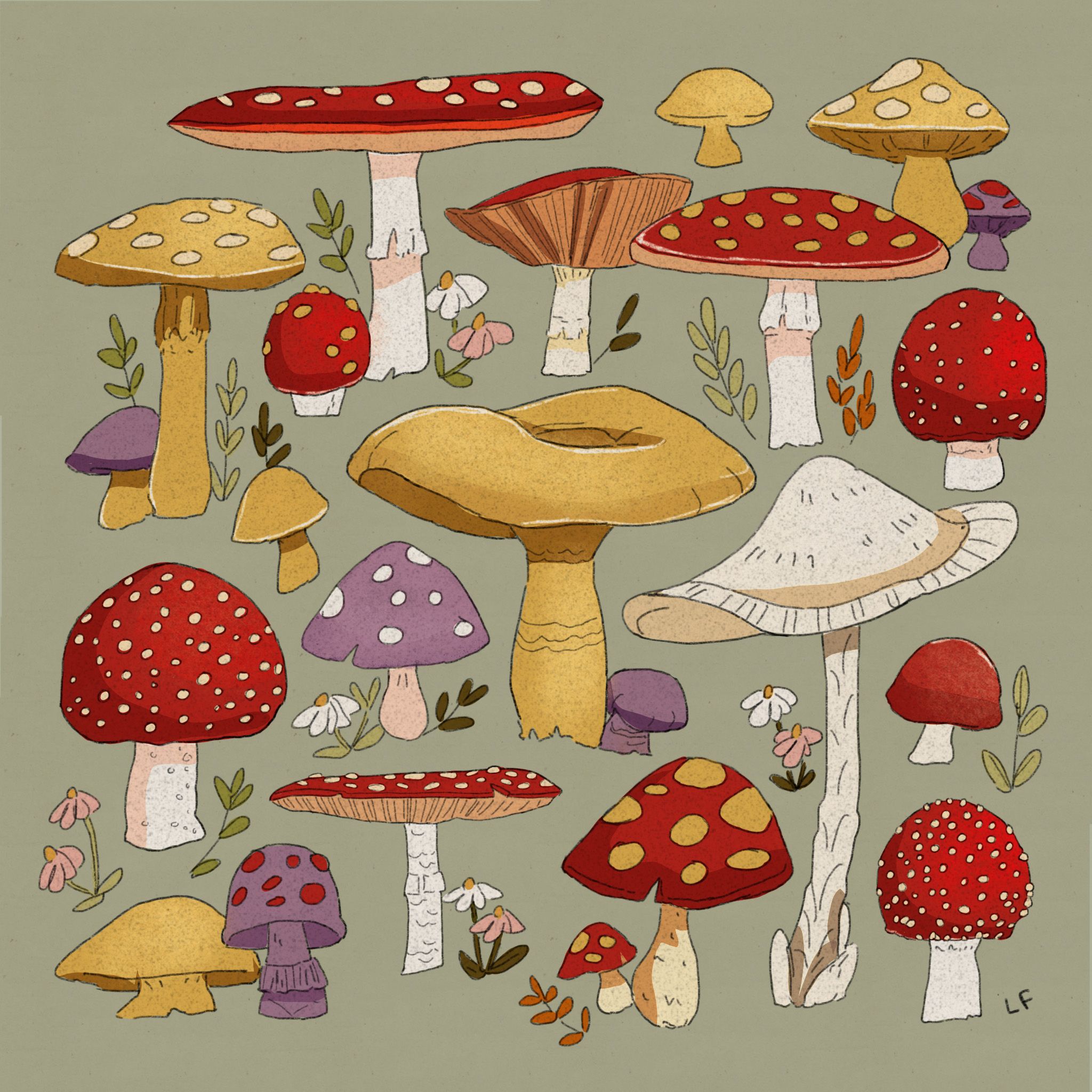 Mushroom Aesthetic Drawing Photo