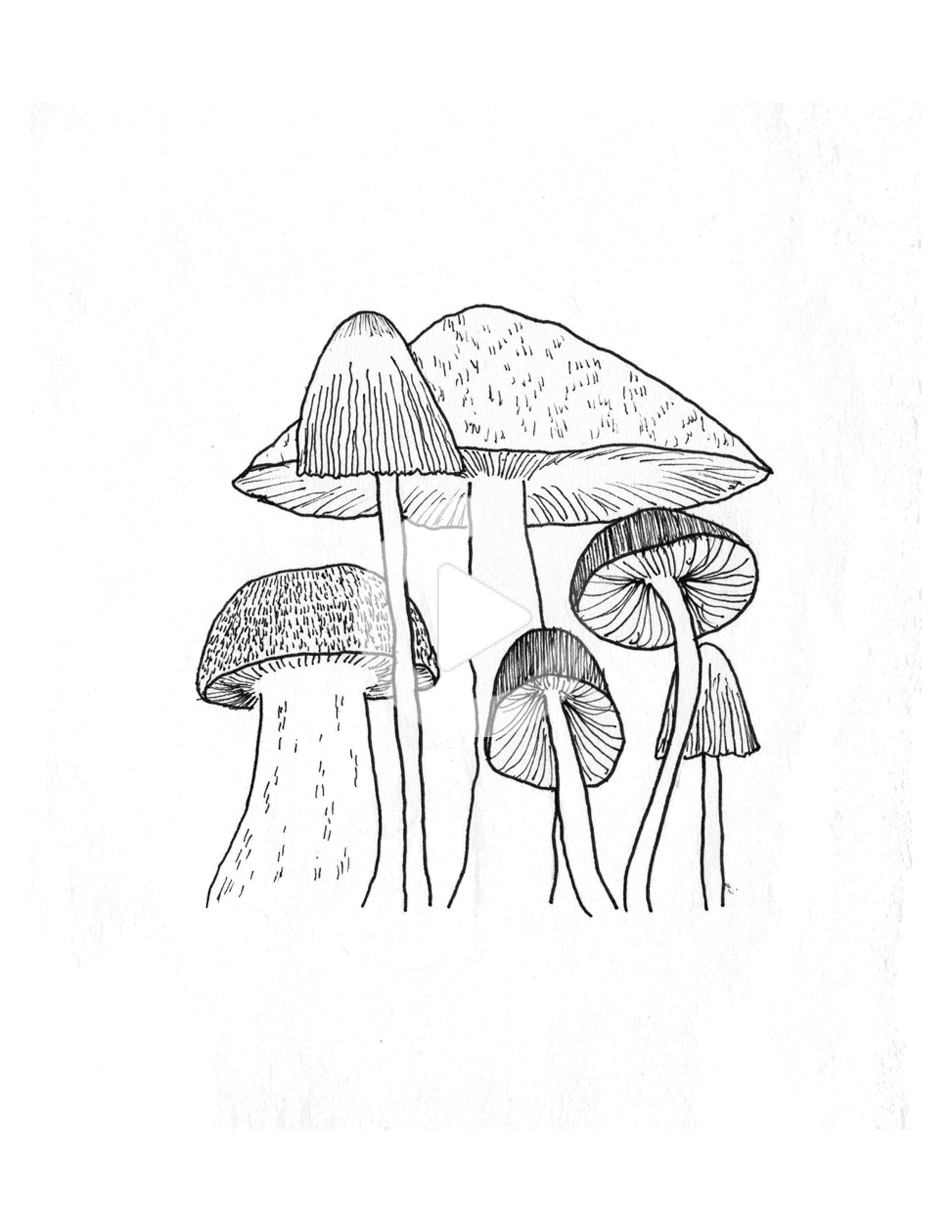 Mushroom Aesthetic Drawing Pictures