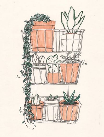 Plant Aesthetic Best Drawing