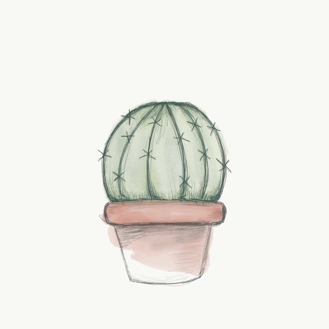 Plant Aesthetic Drawing Image