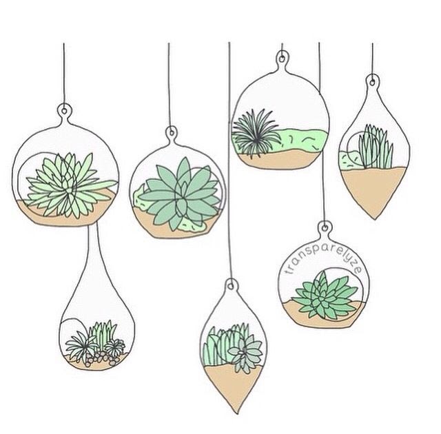 Plant Aesthetic Drawing Photo