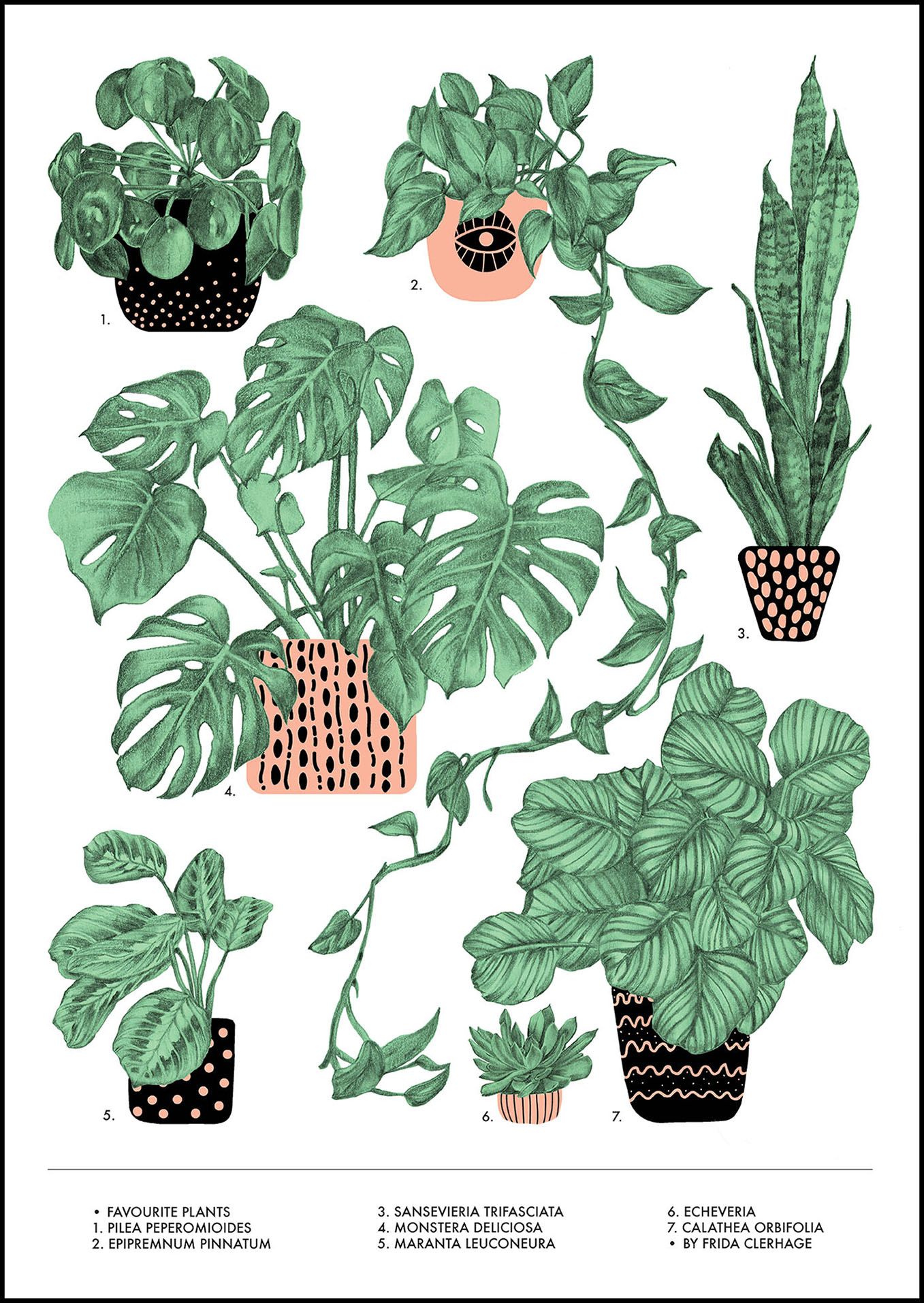 Plant Aesthetic Drawing Realistic