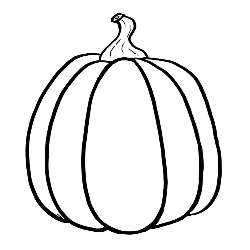 Pumpkin Aesthetic Drawing Sketch