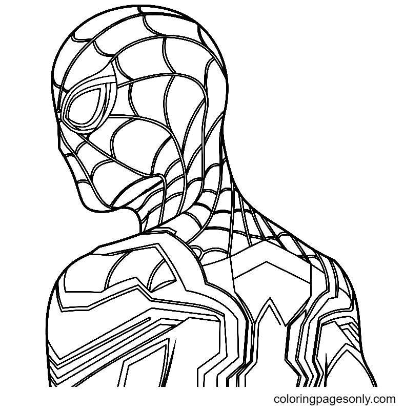 Spider-Man No Way Home Drawing Beautiful Image