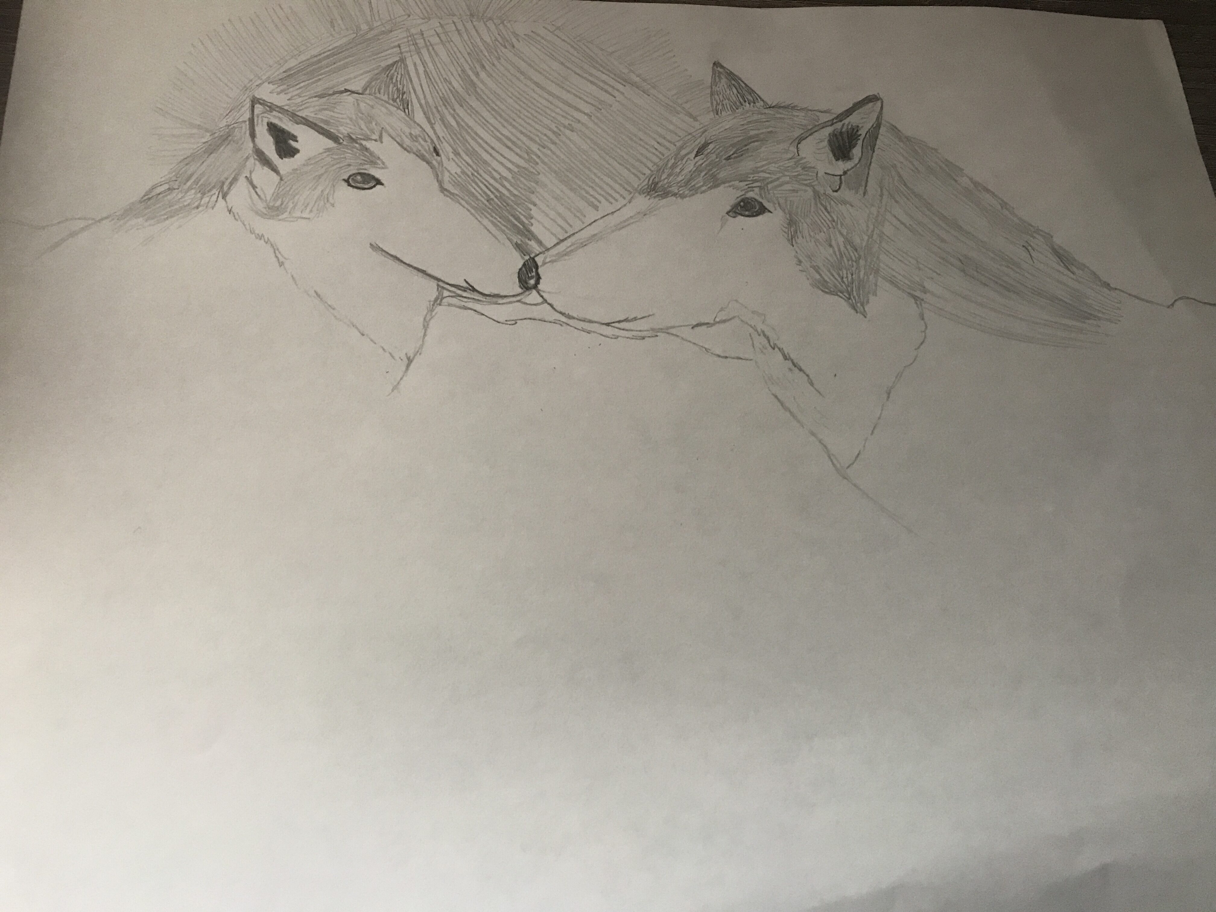 Wolves Drawing